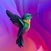 mo_hummingbird